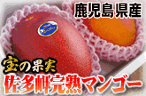 mango_anime.gif